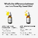 fermented-rose-hip-vs-organic-rose-hip-graphic.webp